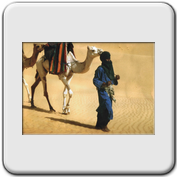 Tuareg